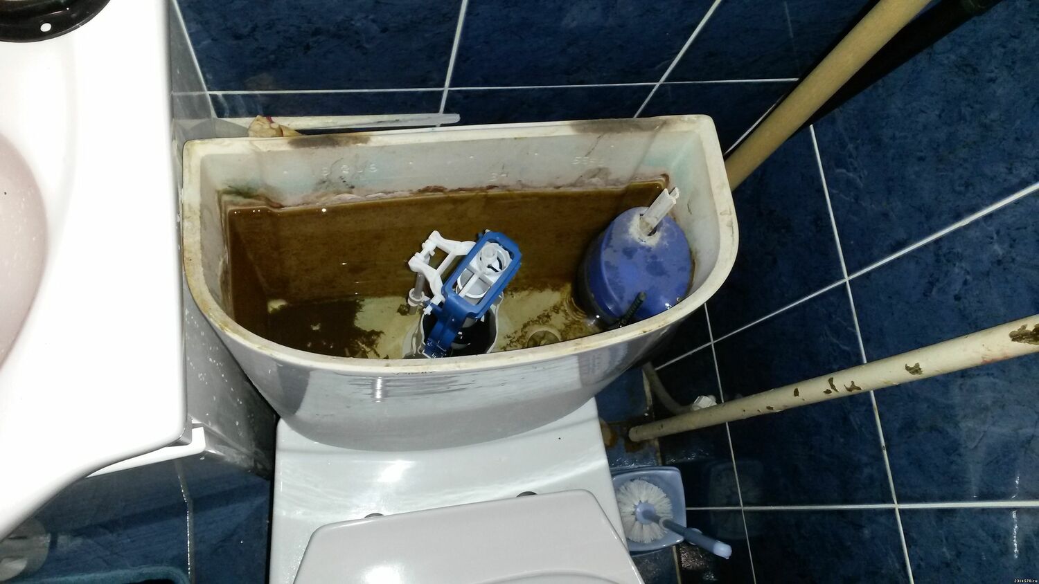 <span style="font-weight: bold;">Ремонт унитаза, замена арматуры</span>